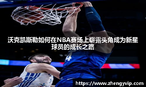 mksports官网